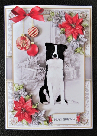 Dogs and Poinsettias Mini Kit 4 by Davina Rundle