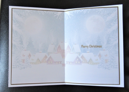 Christmas Scene Insert 3 by Davina Rundle