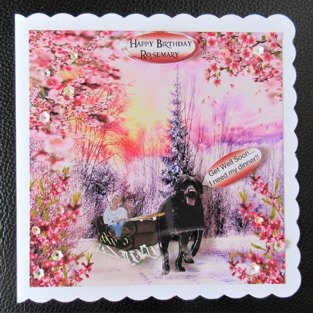 early snow flurry by Davina Rundle