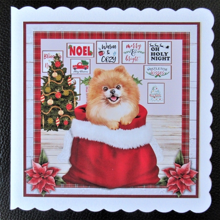 CHRISTMAS  POMERANIAN mini kit by Davina Rundle