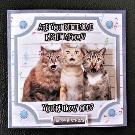 ARE YOU KITTEN ME? by Davina Rundle