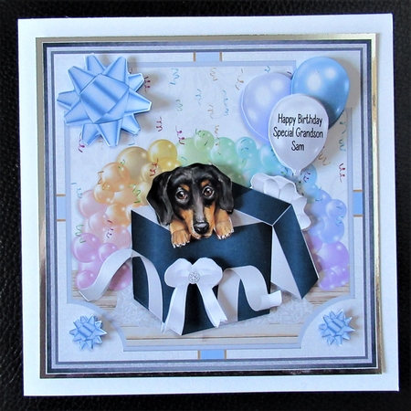 GIFT BOX DACHSHUND by Davina Rundle