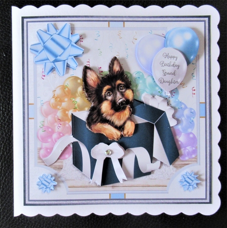 GIFT BOX GERMAN SHEPHERD by Davina Rundle