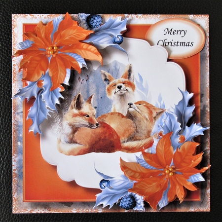 Winter Wonder Fox Family by Davina Rundle