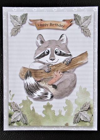 Little Raccoon 6x8  by Davina Rundle