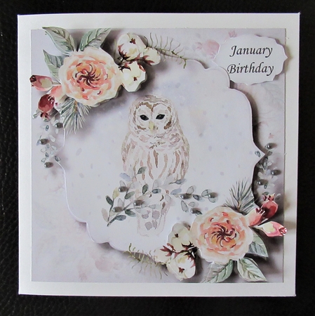 Winter Birthday - Owl In The Snow by Davina Rundle