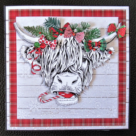 CHRISTMAS HIGHLAND COO by Davina Rundle