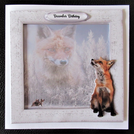 foxy by Davina Rundle