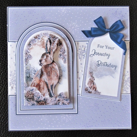 Hare Rabbit Tent Fold Window Card Front Mini Kit by Davina Rundle