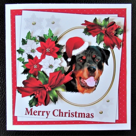 7x7 Rottweiler Christmas wishes by Davina Rundle