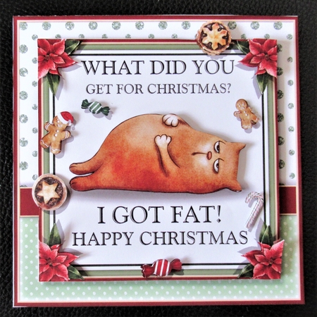What Did You Get For Christmas by Davina Rundle