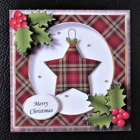 Tartan Christmas Star 2 by Davina Rundle