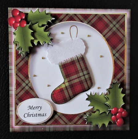 Tartan Christmas Stocking 2 by Davina Rundle