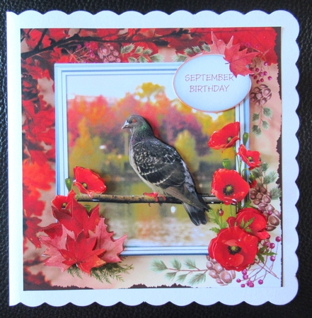 Autumn Splendour 1 by Davina Rundle