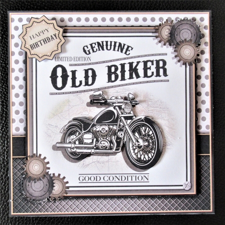 Genuine Old Biker by Davina Rundle