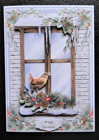 5x7 CHRISTMAS WINDOW BIRDS by Davina Rundle