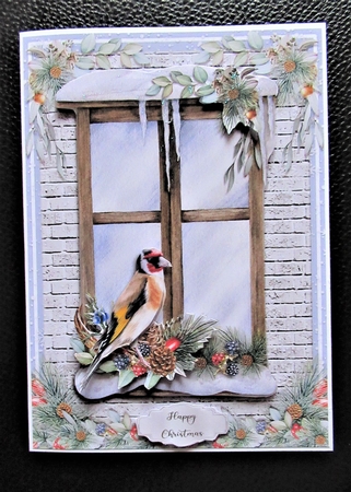 5x7 CHRISTMAS WINDOW BIRDS by Davina Rundle