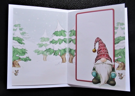 Alfred the Christmas Gnome Insert by Davina Rundle