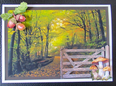 Autumn Scape A4 by Davina Rundle