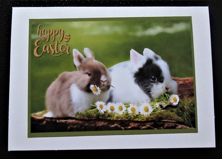 Cute Easter Bunnies A4 2 by Davina Rundle