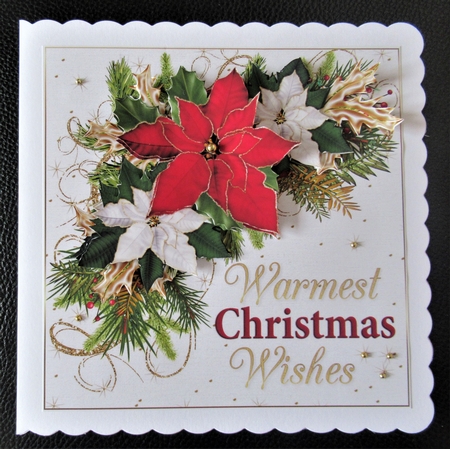 8x8 Warmest Christmas wishes mini kit by Davina Rundle