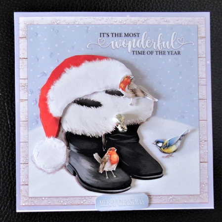 SANTAS BOOTS by Davina Rundle
