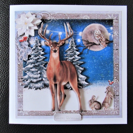 A WINTERS NIGHT by Davina Rundle