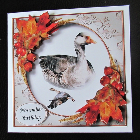 The Autumn Goose by Davina Rundle