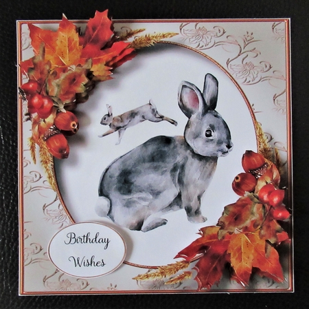 The Autumn Rabbit by Davina Rundle