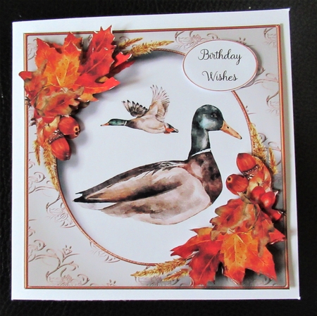 The Autumn Duck by Davina Rundle