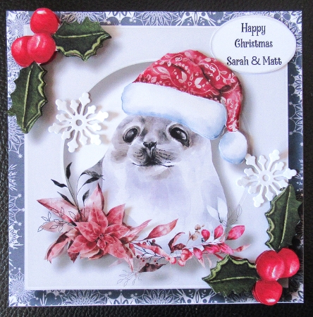 Cute Baby Seal Christmas by Davina Rundle