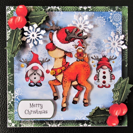 Rudolf & His Gnomies by Davina Rundle