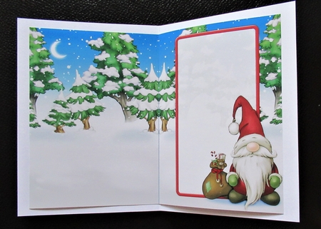 Alfred the Christmas Gnome Santa Insert by Davina Rundle