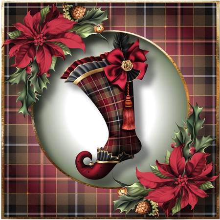 The Tartan Stocking by Davina Rundle