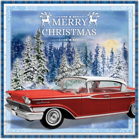 CHRISTMAS CAR by Davina Rundle