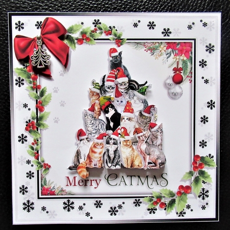 Merry Catmas! by Davina Rundle