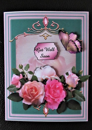 get well roses by Davina Rundle