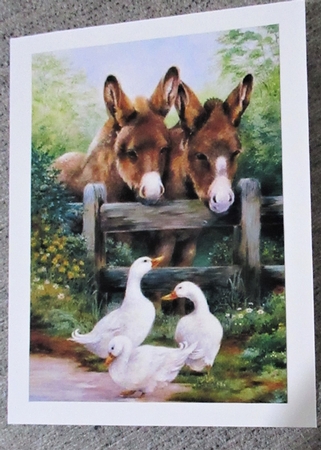 2022 Calendar Donkeys and Geese by Davina Rundle