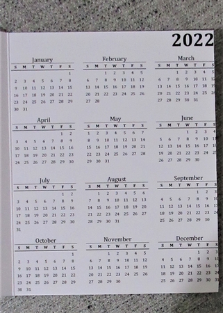 2022 Calendar Donkeys and Geese by Davina Rundle