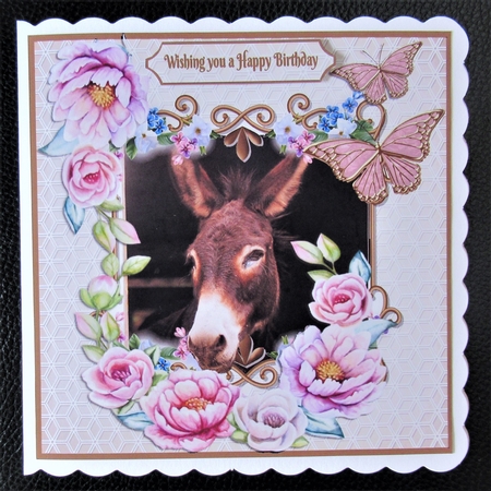 Donkey stop and smell the flowers by Davina Rundle