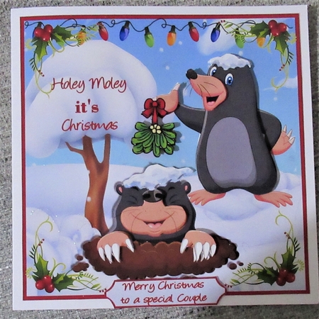 Holey Moley its Christmas by Davina Rundle
