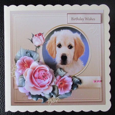 Puppy and rose 6x6 by Davina Rundle