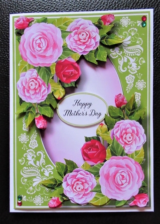 Gorgeous Pink Camellia & Beautiful Frame by Davina Rundle