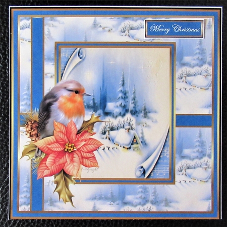 Robin redbreast and poinsettia 6x6 by Davina Rundle