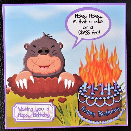 Cake or grass fire by Davina Rundle