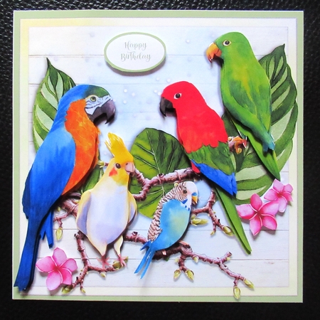 TROPICAL BIRDS by Davina Rundle