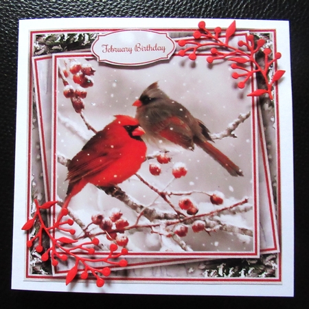 Winter Birds Collection 2  (NO Flowers) Bumper Kit#1 by Davina Rundle