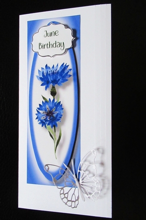 Simple Cornflowers Lge DL by Davina Rundle