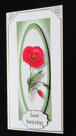 Simple Poppy Lge DL by Davina Rundle