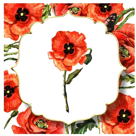 6x6 Watercolour Floral - Poppy by Davina Rundle